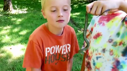 Epic Funny Video 😂😂😂 #shorts#viralshorts#comedy#funnymoments#fails#humor