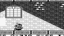 SUPER MARIO LAND 2  6 GOLDEN COINS 99