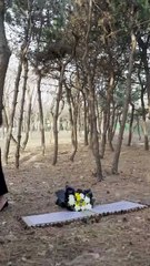 Emily unexpectedly inherits a huge fortune and is determined to uncover the truth.