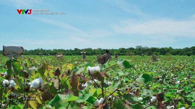 TÌNH YÊU CỦA ĐỜI TÔI - TẬP 6 - VTV3 THUYẾT MINH - PHIM COLOMBIA - TINH YEU CUA DOI TOI