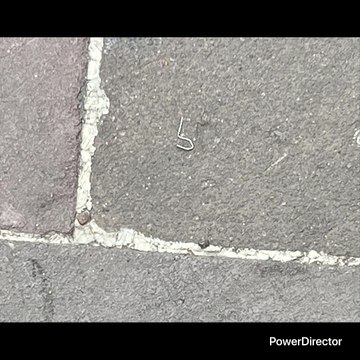 AHORA NO ME LLOREN ARGENTINOS LOS QUIERO PERO USTEDES QUERÍAN COPA DEL MUNDO SE LA REGALARON Y SU PAÍS MUY MAL AGUÁNTENLA DECIDIERON ESO AGUÁNTENLA Y NO ME LLORE CABRON