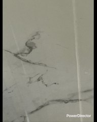 ME DECÍAN MEXICANITO(PORQUE VIVO ACÁ EN MX)ENVIDIOSO CON MESSI ESTABA HABLANDO DE MAFIA QATAR 2022 Y NO ME HICIERON CASO SE BURLABAN DE MI YO NO ME BURLO PERO SEAN INTELIGENTES ESTUDIEN APRENDAN PARA QUE NO LES PASE LO QUE ESTAN VIVIENDO AMIGOS ARGENTINOS