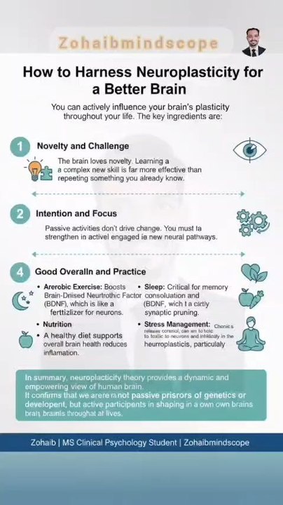 How to harness neuroplasticity for a better brain #shorts