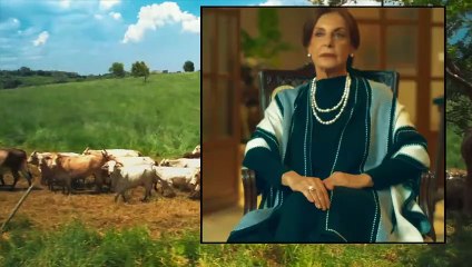 Mi Verdad Oculta | Capitulo 14