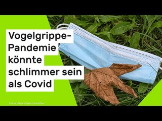 Geflügelpest: Institut warnt - Vogelgrippe-Pandemie könnte schlimmer sein als Covid