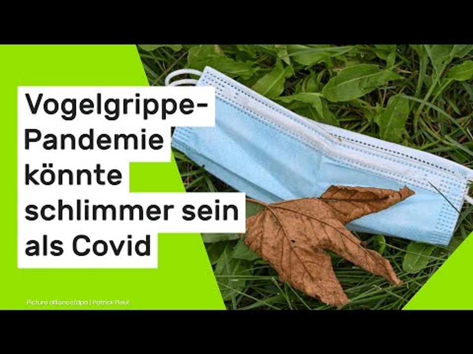 Geflügelpest: Institut warnt - Vogelgrippe-Pandemie könnte schlimmer sein als Covid