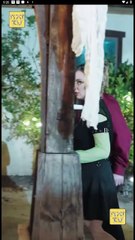 Cómo hice mío al Alfa en Español