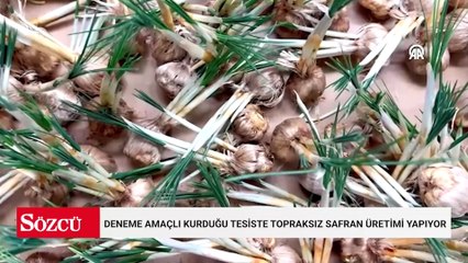 5 kilosu büyük şehirde ev aldırıyor: Topraksız 14 m² alanda bile bereketli hasat alındı