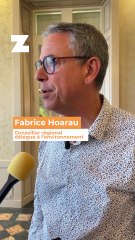 Tous les emballages plastiques dans le bac jaune à compter du 1er janvier 2026 à La Réunion