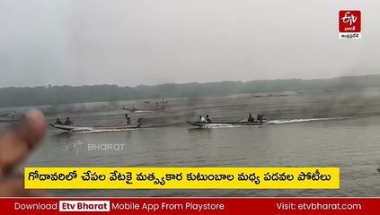 గోదావరిలో చేపల వేట కోసం పడవ పోటీలు - గెలిస్తేనే జీవనోపాధి!