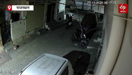 जयपुर के आबादी इलाके में लेपर्ड का मूवमेंट, लगातार दूसरे दिन सीसीटीवी में कैद हुई तस्वीरें