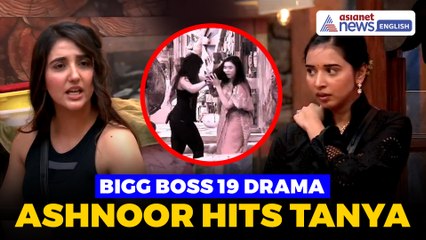 Bigg Boss 19 Task Turns Ugly: Did Ashnoor Kaur Deliberately Hit Tanya Mittal With a Plank?