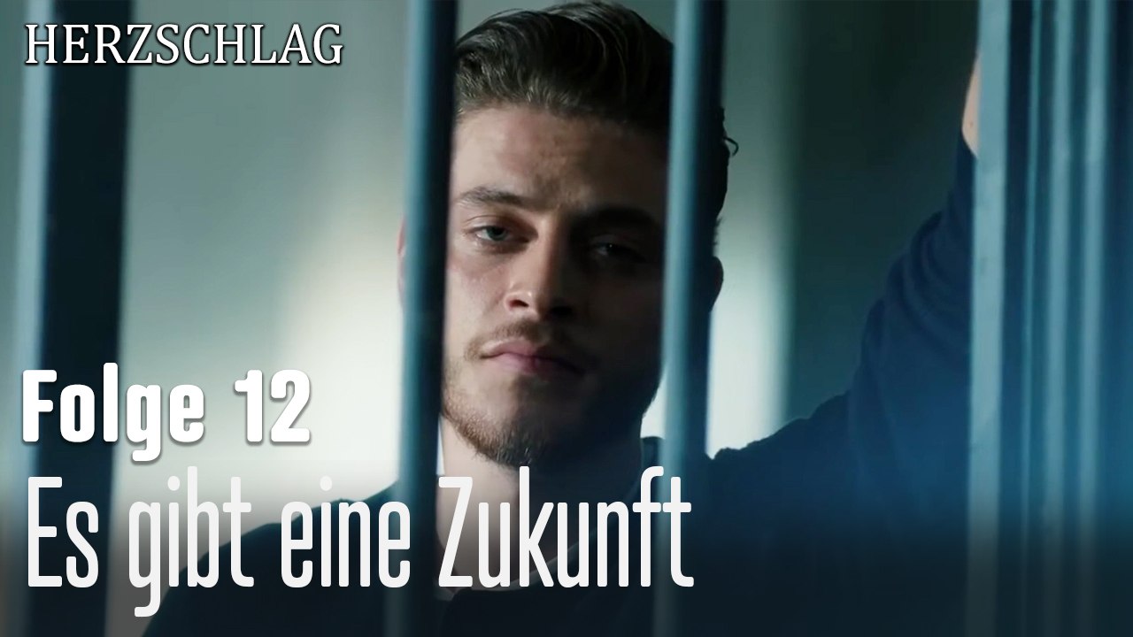 Es gibt eine Zukunft-Herzschlag Folge 12