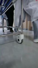 I SAID YES TO DANGER- Drama FULL MOVIES ENGLISH SUB