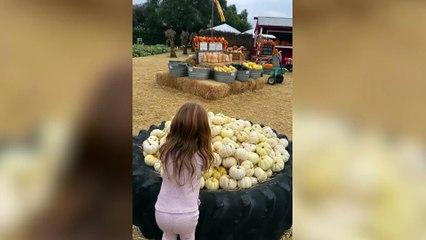 Harry y Meghan llevan a sus hijos de voluntariado por primera vez