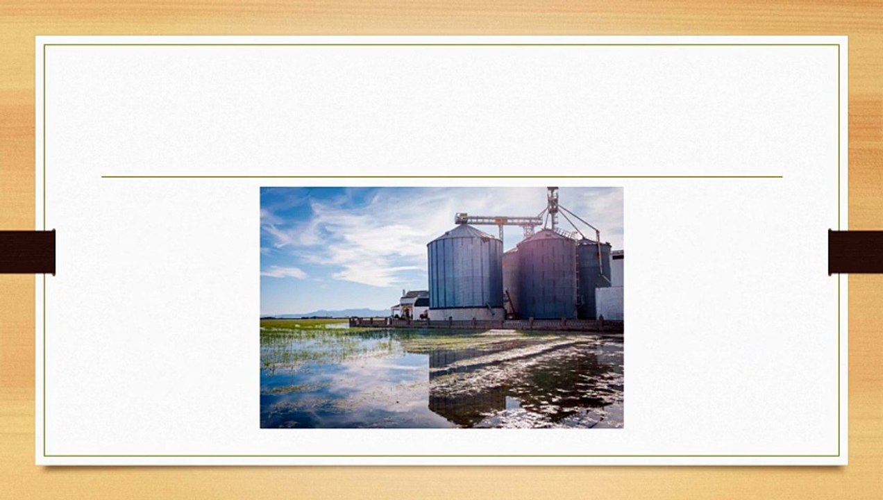 Top Hopper Silo and Rice Mill Pre Cleaner Solutions in India