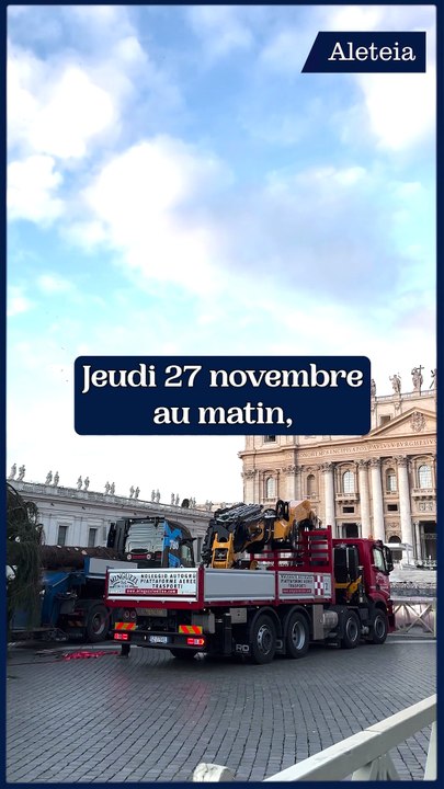 Le sapin est dressé sur la place Saint-Pierre !
