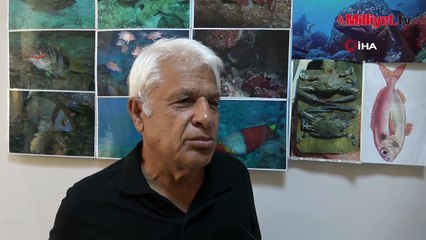 Antalya sahilinde şok manzara! Oltaya köpek balığı takıldı: ‘Avının peşinden gelmiş’