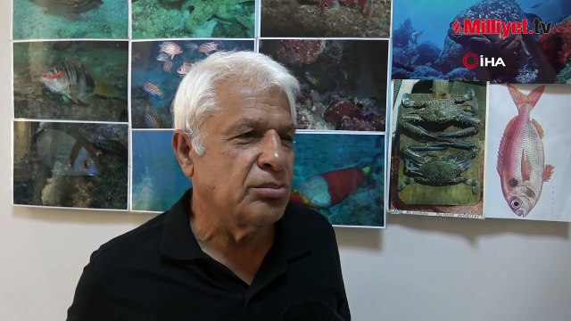 Antalya sahilinde şok manzara! Oltaya köpek balığı takıldı: ‘Avının peşinden gelmiş’