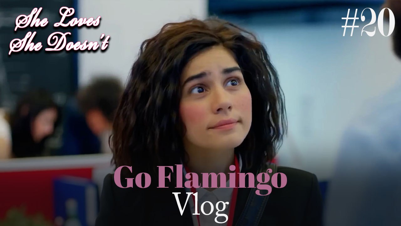 Go Flamingo Vlog #20