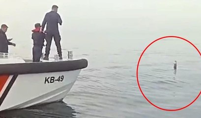 Karadeniz'de balıkçılar gördü! Sahil Güvenlik ekiplerine haber verildi