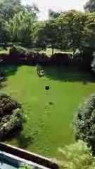 On their wedding anniversary, her husband cheated on her with her best friend