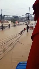 VIDEO: Ciudadanos de Tailandia escapan por cables de alta tensión ante inundaciones mortales