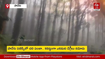 ఓ వైపు ఎముకలు కొరికే చలి - మరోవైపు కనువిందు చేస్తున్న ప్రకృతి సోయగాలు