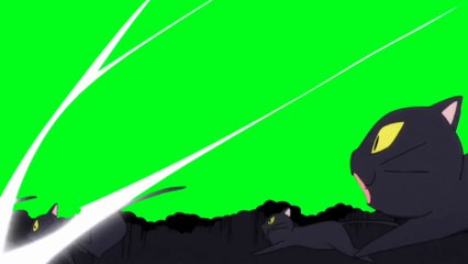 SERDAR ŞİMŞEK KARAKEDİ SALDIRI MÜZİKLİ ANİMASYON