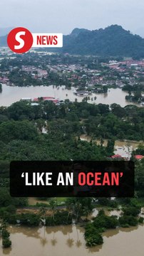 Perlis flood evacuees recall race against rising waters