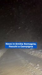 Neve in Emilia Romagna, fiocchi a Campigna
