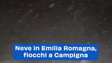 Neve in Emilia Romagna, fiocchi a Campigna