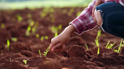 SETTORE AGRICOLO INPS 2024: Più di 1 milione di operai e crisi aziende