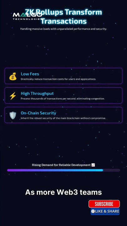 Malgo | ZK Rollup Development for Efficient DApps