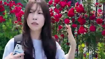 ASMR MUKBANG Cheese Mushroom and Korea Noodle Chicken Cheese ball Hot Dog Eating