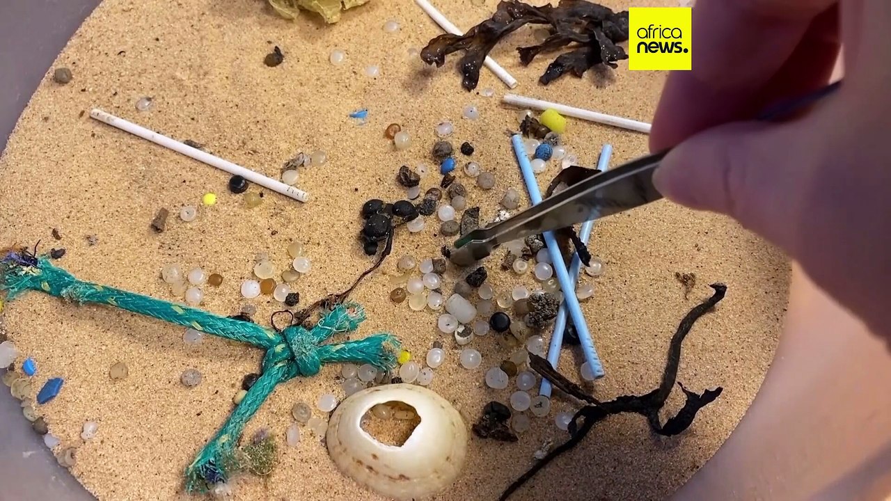 Les "nurdles" contaminent les écosystèmes de 23 régions dans le monde