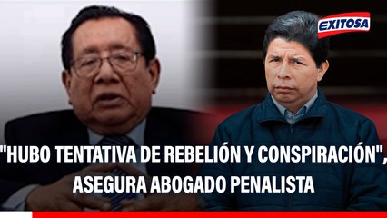 Caso Pedro Castillo: "Hubo tentativa de rebelión y conspiración", asegura abogado penalista