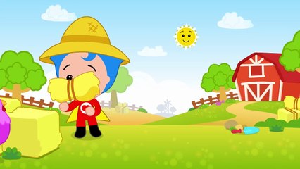 Gallinas y Pollitos de Colores  Aprende los Colores  Canciones Infantiles  Plim Plim