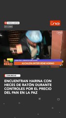 encuentran harina con heces de ratón durante controles por el precio del pan en la paz