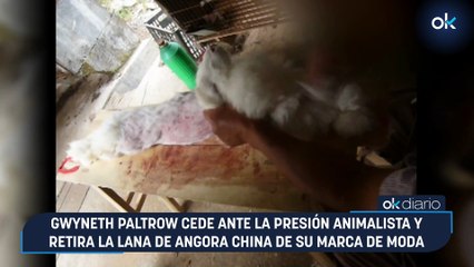 Gwyneth Paltrow cede ante la presión animalista y retira la lana de angora china de su marca de moda