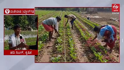 'ಎಟಿಎಂ ಮಾದರಿ' ಕೃಷಿ ವಿಧಾನದಿಂದ ರೈತರಿಗೆ ದುಪ್ಪಟ್ಟು ಲಾಭ