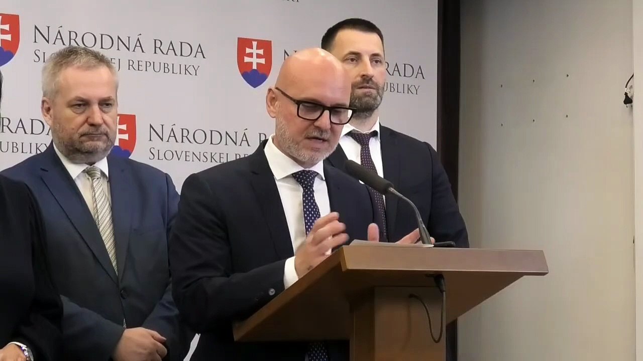 ZÁZNAM: SaS vyzýva na podporu jej návrhu, má zastaviť infringement EK proti SR