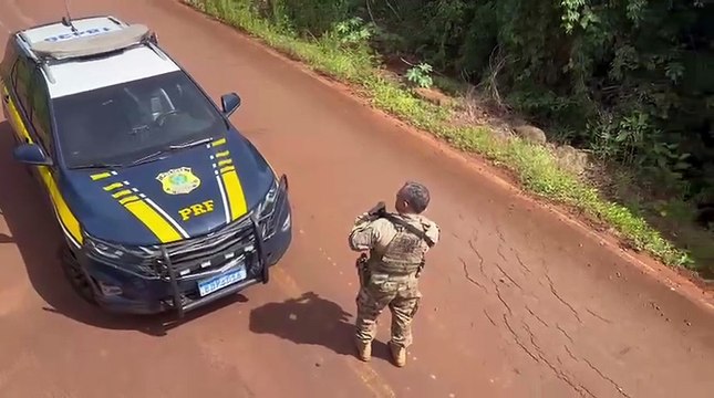 PRF apreende 4 toneladas de agrotóxicos em caminhão de transporte de leite