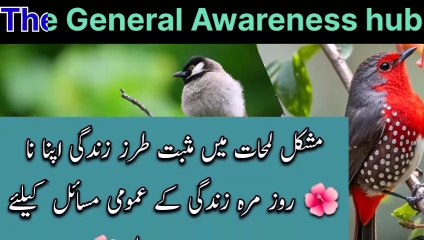 7 Basic Principles For Daily Life Problems | How To Be Calm During Difficult Situations | Be Strong