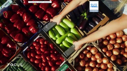 Como o Japão está a mobilizar competências a nível mundial para eliminar as minas na Ucrânia