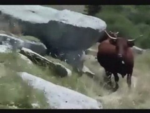 Cantal: Animation aquarelles(autour du Puy Mary)