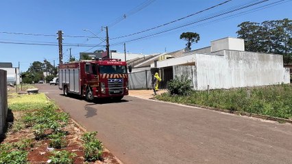 Bombeiros são acionados após ataque de abelhas em Cascavel