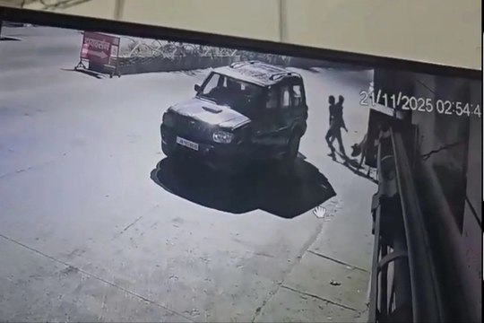 Cow thieves gang: Video: शहर में गाय चोर गिरोह सक्रिय, स्कॉर्पियो में भरकर ले गए 3 गौवंश, दोनों ही वारदात CCTV में कैद