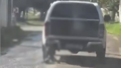 Muğla’da kamyonete bağlanarak sürüklenen köpek öldü: 2 gözaltı