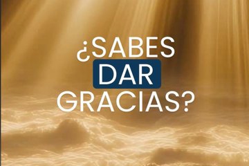 ¿Sabes dar gracias?